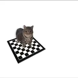 Uiiai Cat X Chess SL
