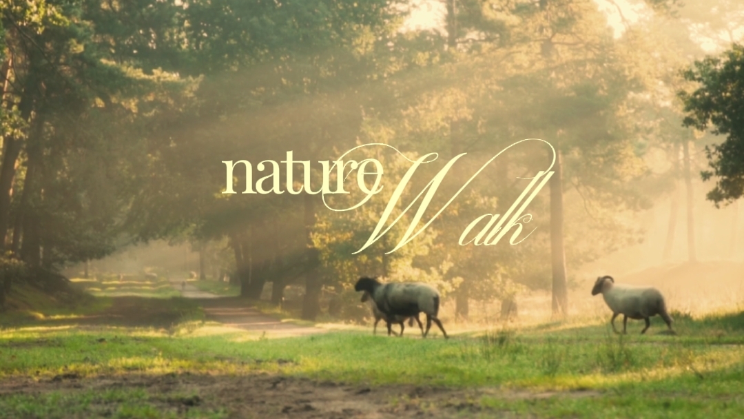 nature walk