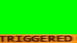 Triggered meme
