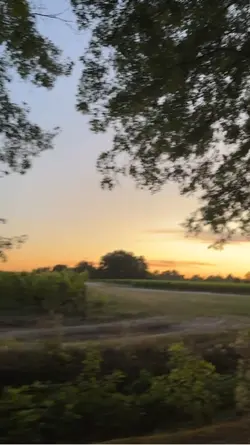 Je l’aimais mais..