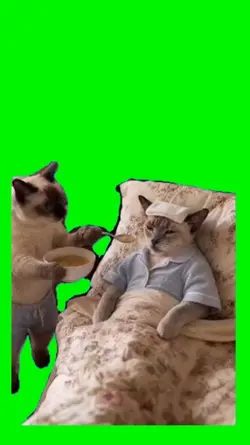 Meme 