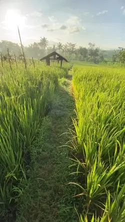 Suling sunda 