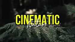 CINEMATIC