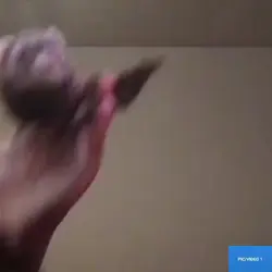 Treein Edit nee Goat