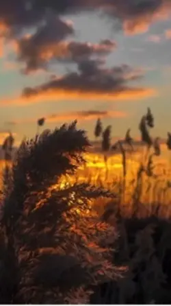 Sunset Reflections
