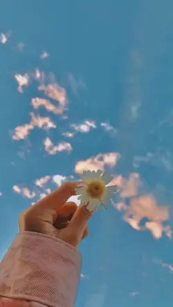 filter aesthetic