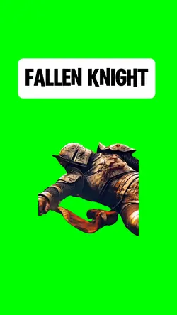 FALLEN KNIGHT