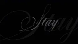 Stay 