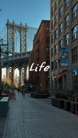 LiFE