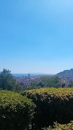 mal di te