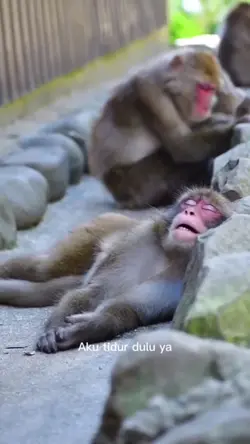 aku tidur dulu ya