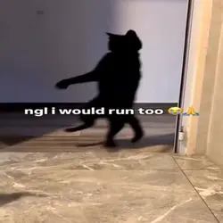CARTOON CAT