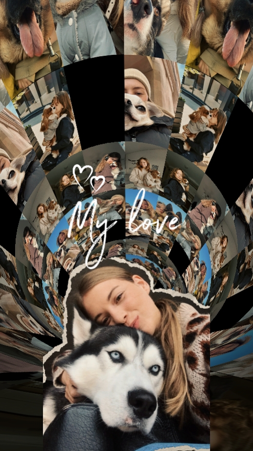 Meu cachorro do amor