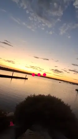 ....................