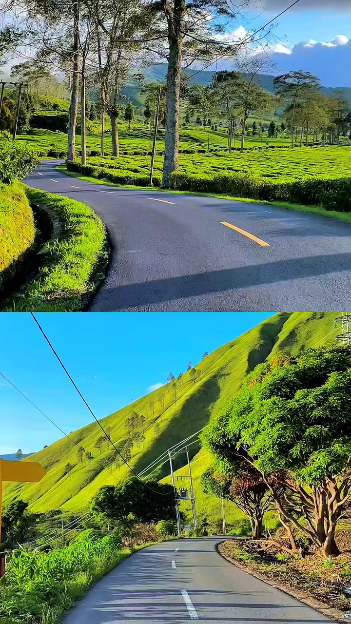 2 video collage