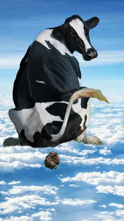 COW HAPPY BIRTHDAY 