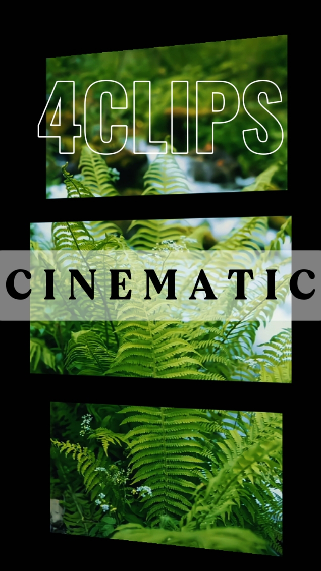 4 videos nature