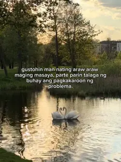 Laban lang👊