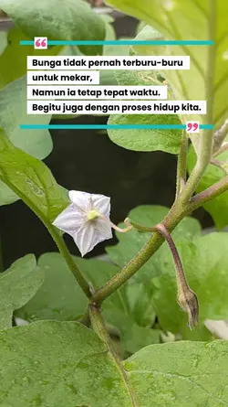 Bunga dan Prosesnya 