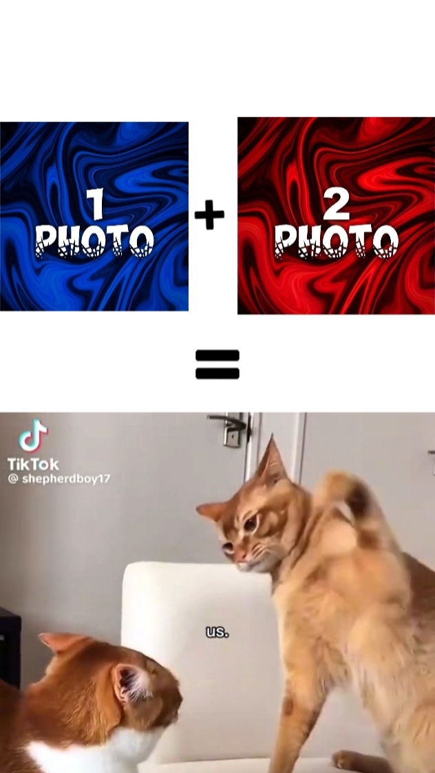 USA LUSTIGE VORLAGEN