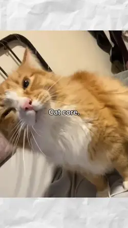 cat core
