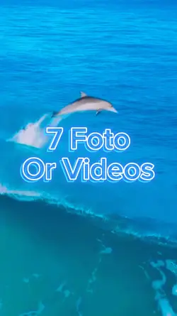 7 Video Slide