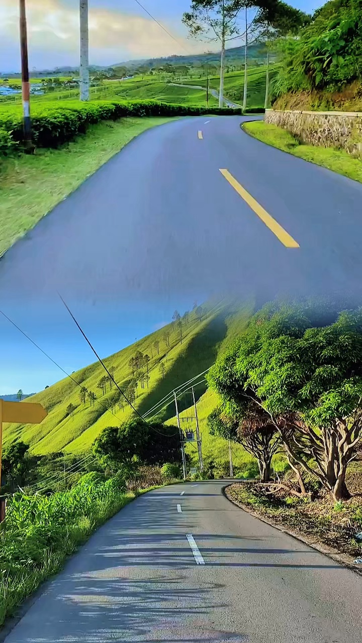 2 videos 1 diseño