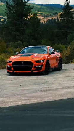 car Transition