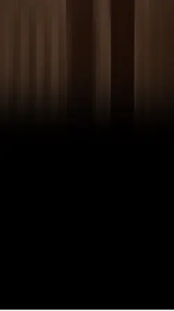 asanrap - Шома тигр