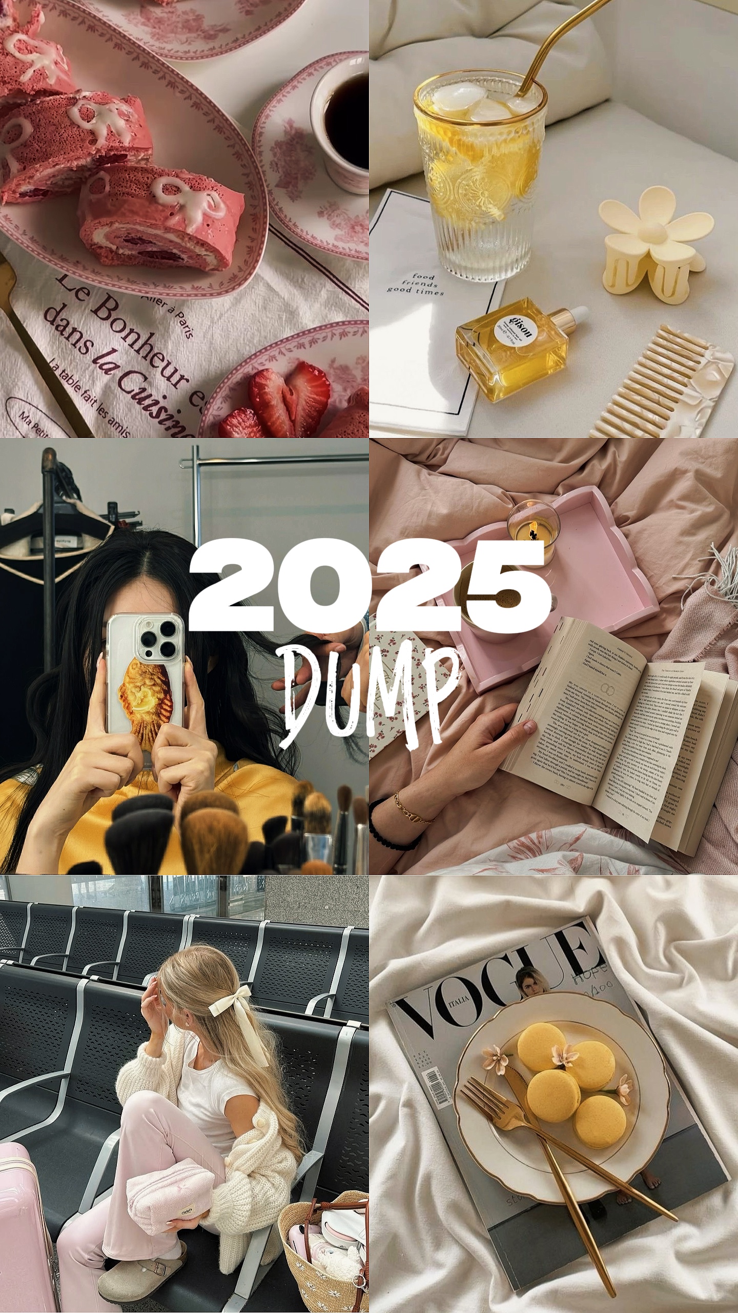 Volcado 2025