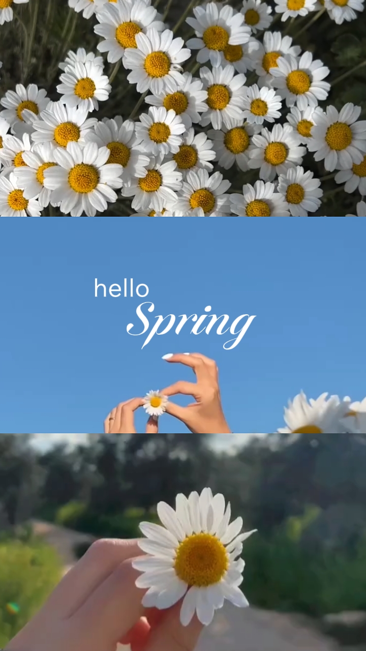 Hallo Frühling 