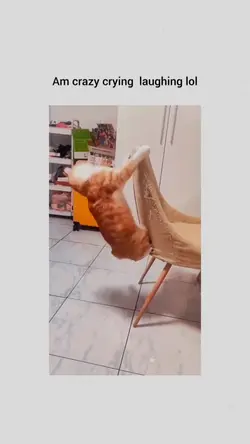 Lol
