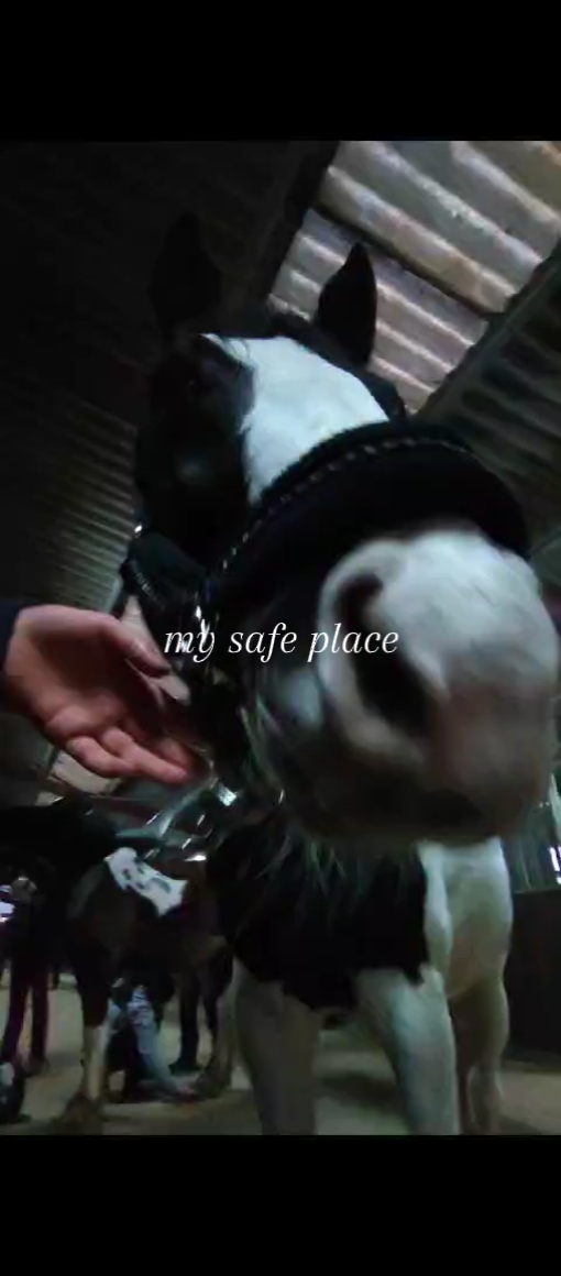 My safe place 