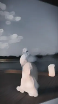 Slow + Motion