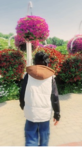 Cover Picture