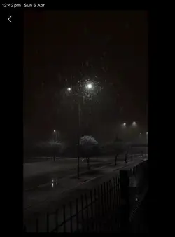 Moonligh