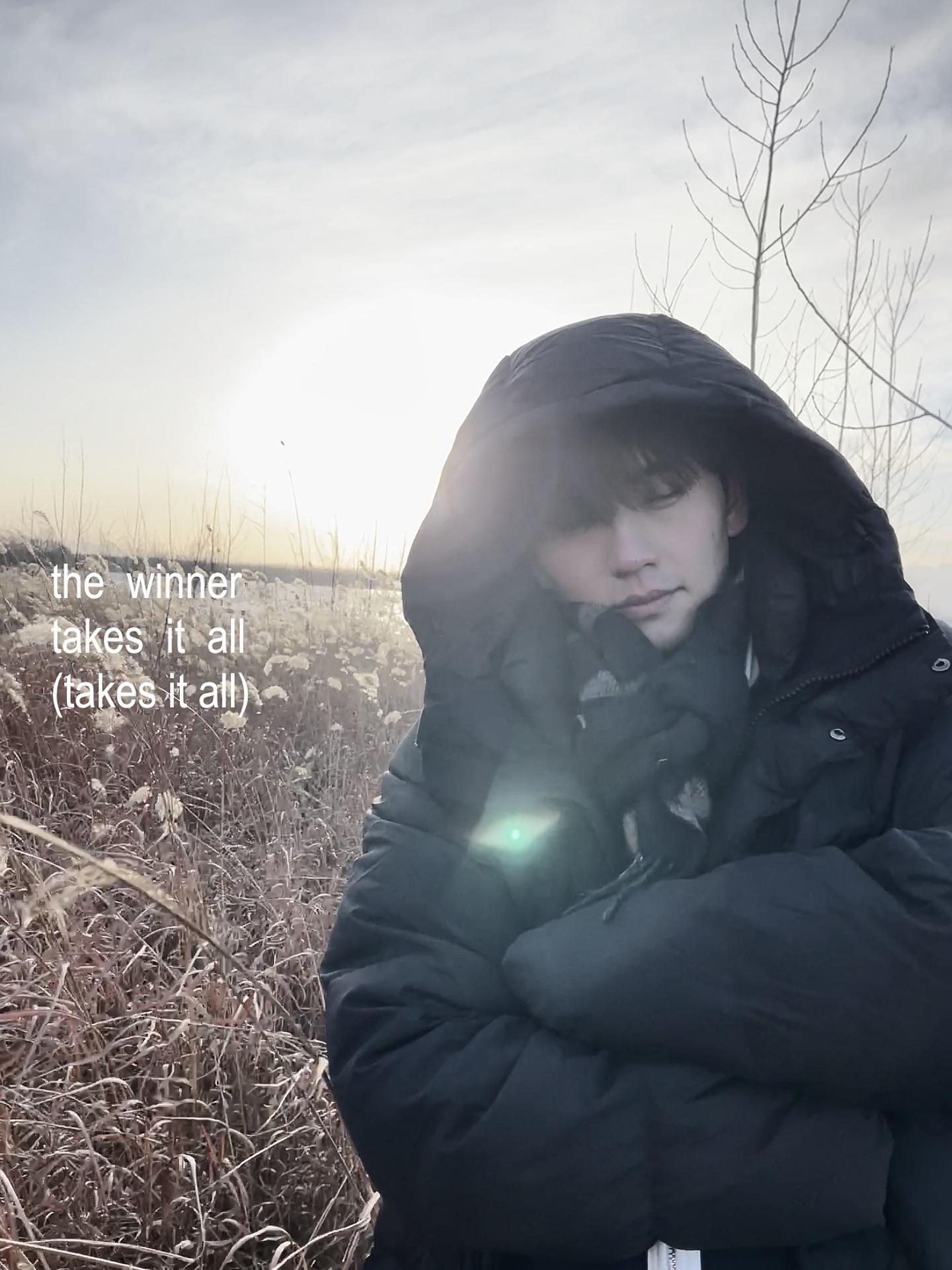 Cover Picture