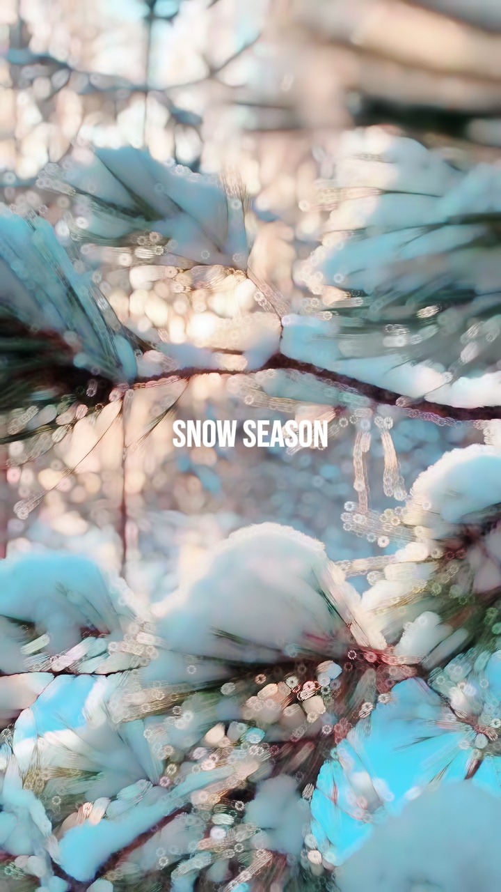 Temporada de Neve