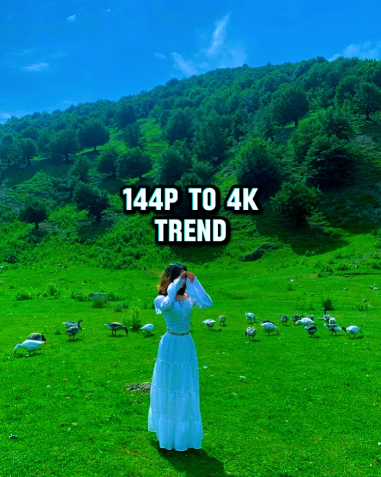 144p ~ 4k 트렌드
