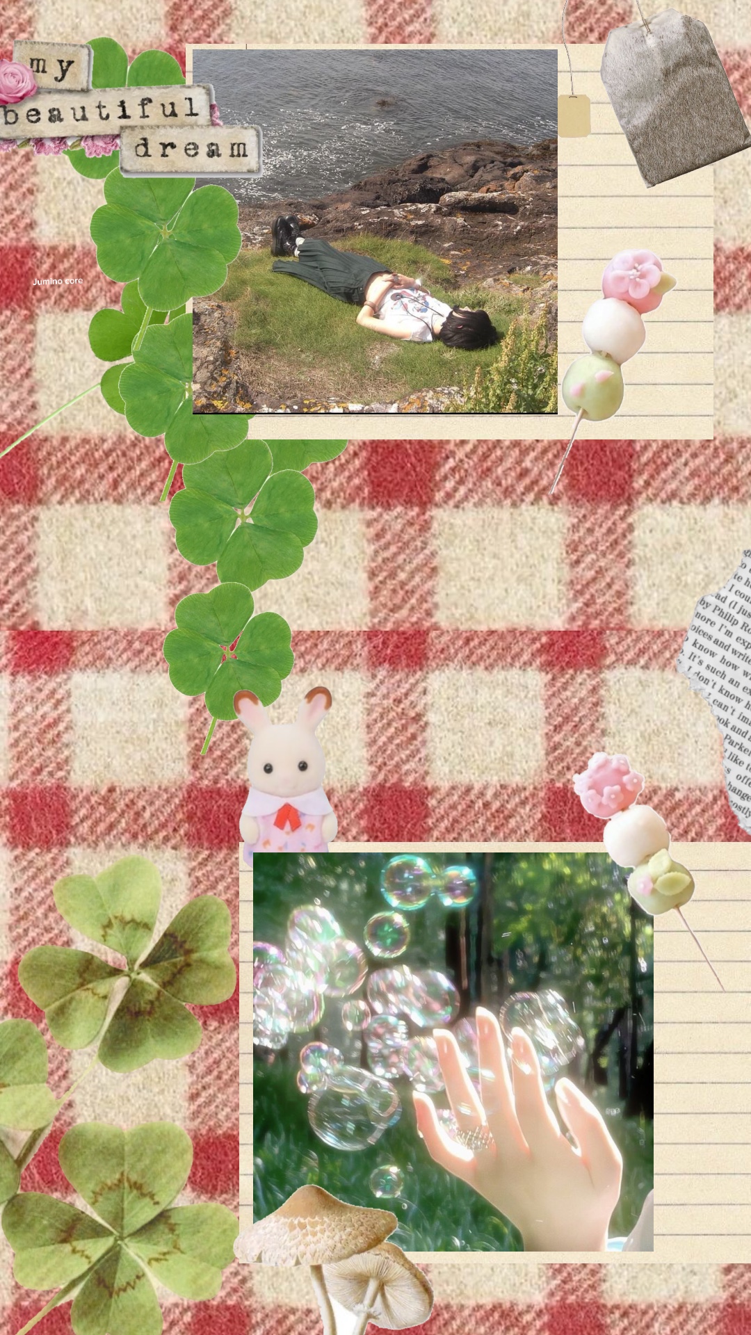Cover Picture
