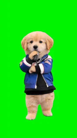 Kendrick Dog