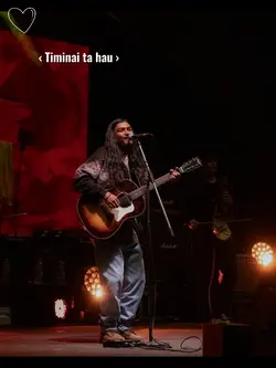 Timi nai ta hau