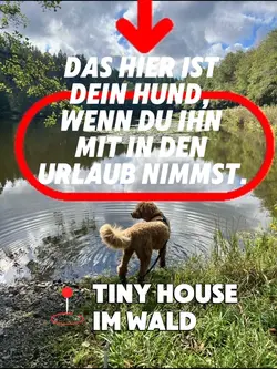 Dein Hund im Urlaub 