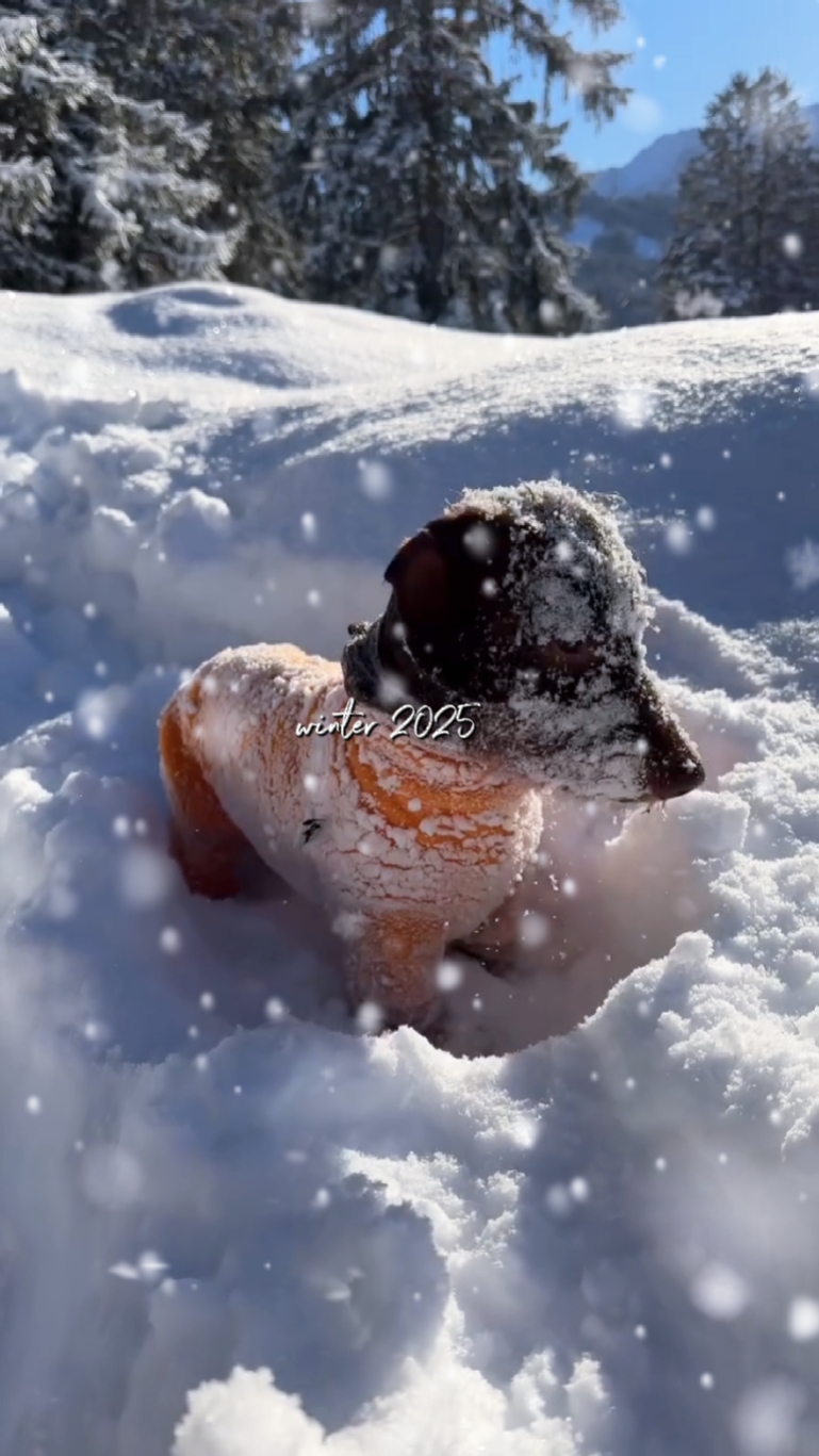 Jour de neige 2025