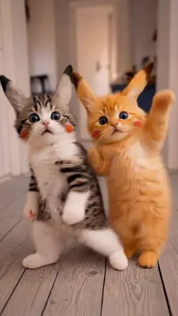 Eles se amostrando 