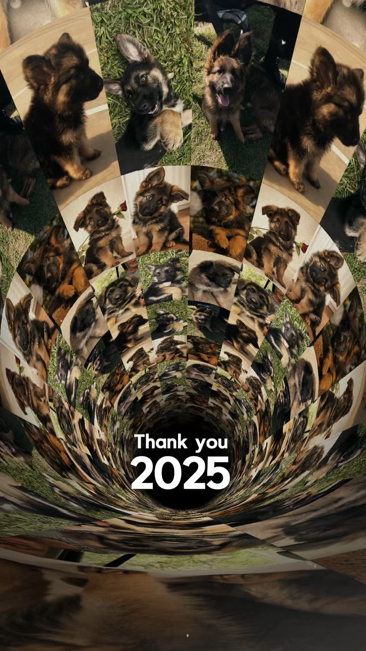 Danke 2025 | Hund