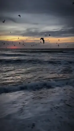 1 VID SLOWMO
