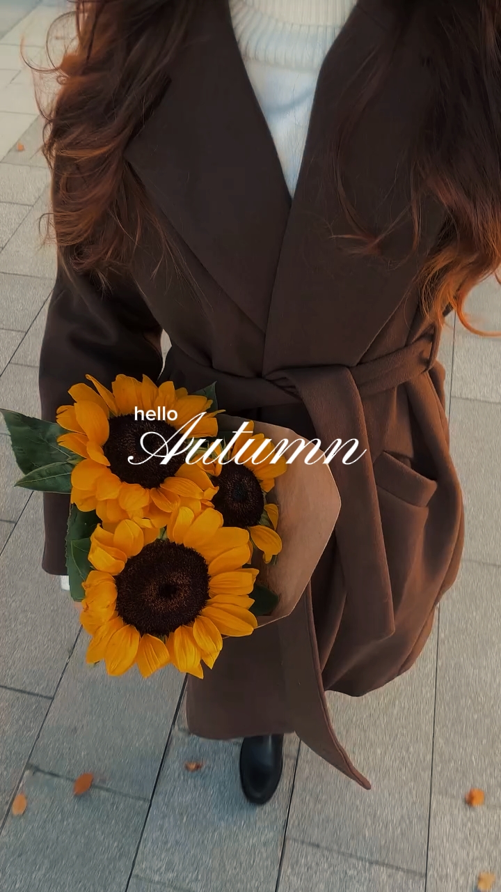 HELLO AUTUMN