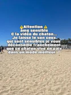 🕊️⚠️