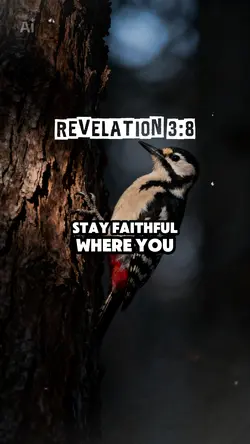 Revelation 3:8